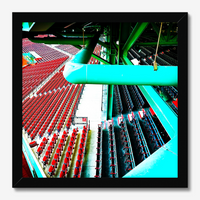 photo of fenway parks left field grandstand and field boxes in red and blue with the green metal structure of the building in a black frame