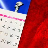 Close-up of the February 2027 date grid with pink weekday header below the Yaz statue artwork