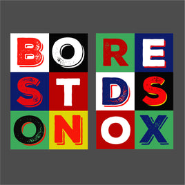 BORESTDSONOX in color blocks boston red sox the red seat