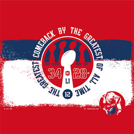 new england patriots red seat superbowl 5th win